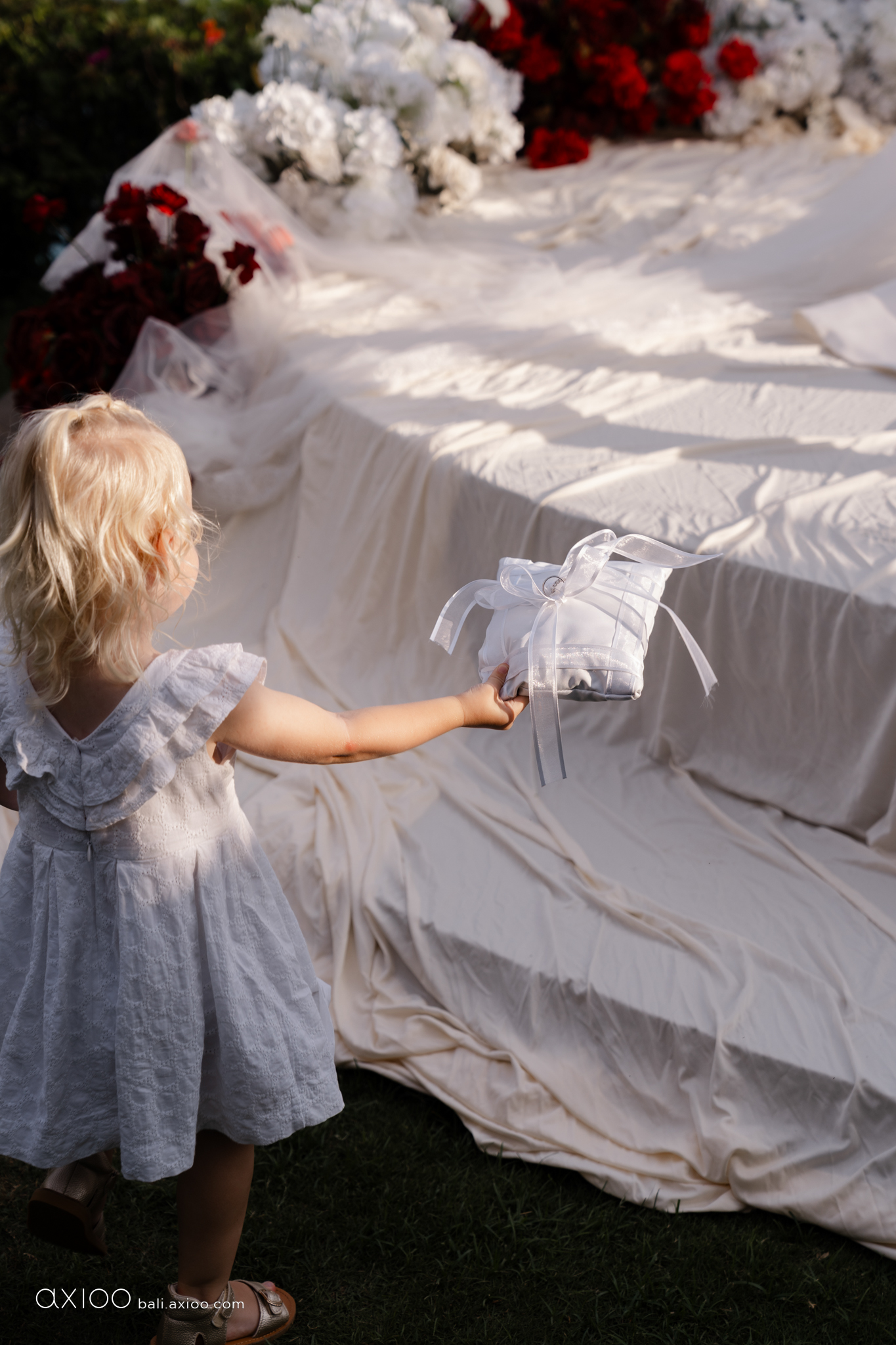 Axioo: Little Scene Stealers